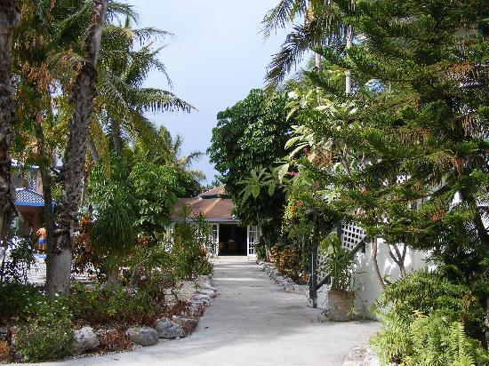 Turtle Cove Inn Exterior foto